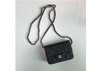 샤넬 월릿 미니백 (가방)