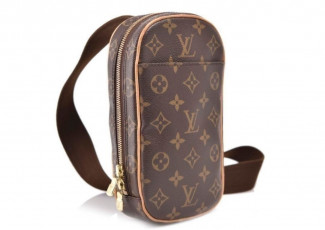 루이비통 겐지 범백 (가방)