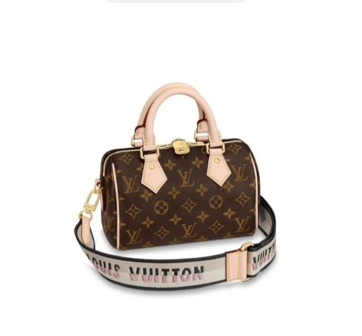 루이비통 스피디 반둘 20 모노 가방