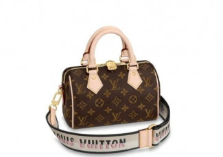 루이비통 스피디 반둘 20 모노 가방