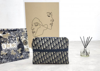 디올 오블리크 트레블 클러치백 (가방)