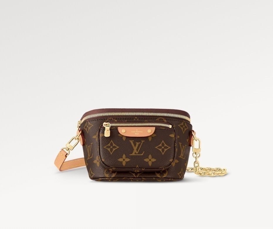 루이비통 모노 미니 범백 (가방)