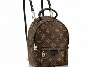 루이비통 팜스프링 미니 백팩 (가방)
