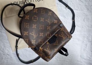 루이비통 팜스프링 미니 백팩 (가방)