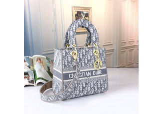 디올 오블리크 그레이 레이디백 (가방)