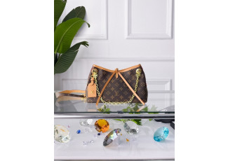 루이비통 캐리올 가방