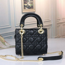 디올 레이디백 미니 (가방)