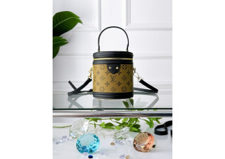 루이비통 깐느 가방