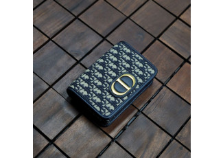 디올 484 30 Montigne Nano 가방