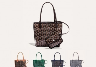 고야드 미니 앙주백 (가방)