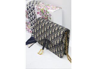 디올 오블리크 새들 미니 체인백 (가방)