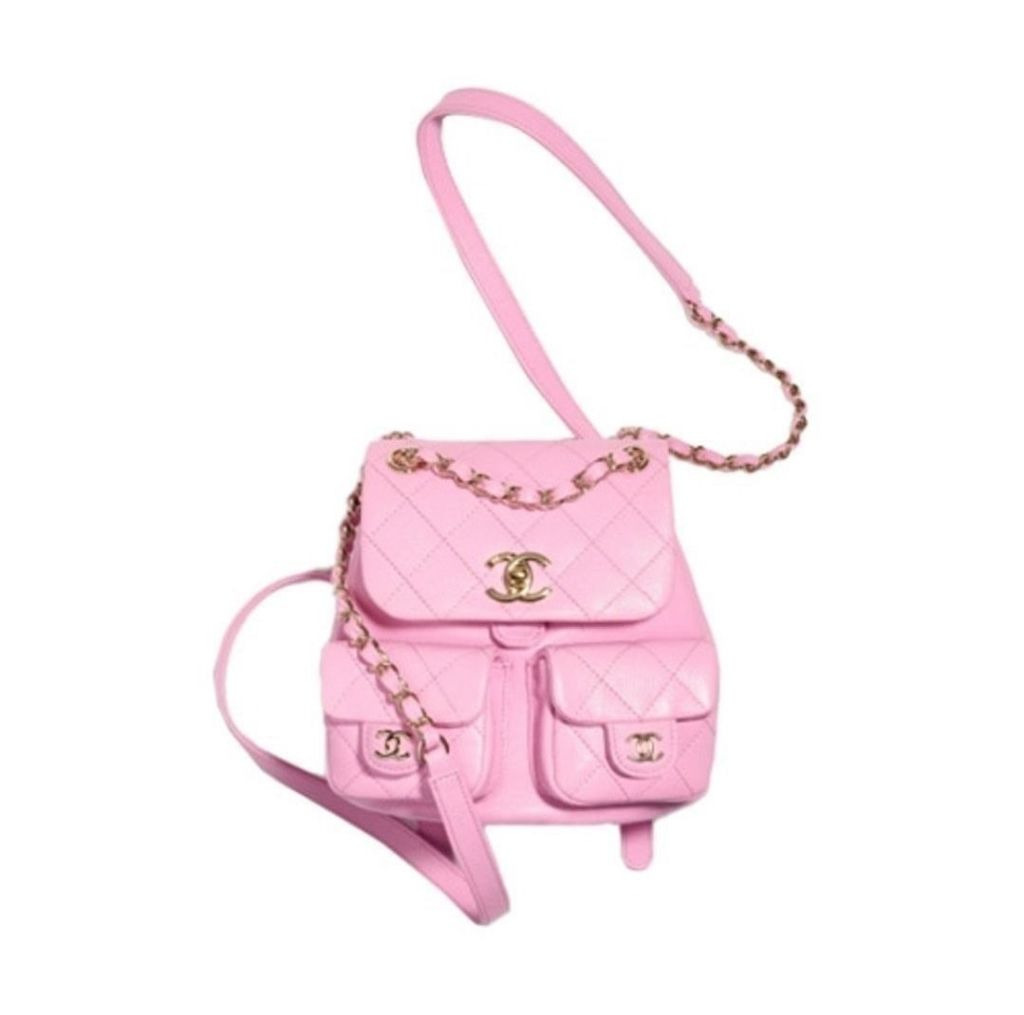 샤넬 듀마 백팩 핑크 (가방)