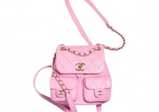 샤넬 듀마 백팩 핑크 (가방)