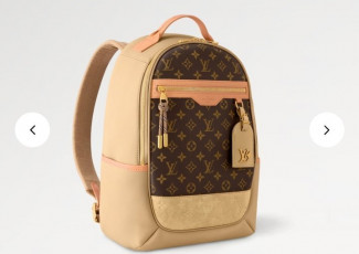 루이비통 아웃도어 백팩 (가방)