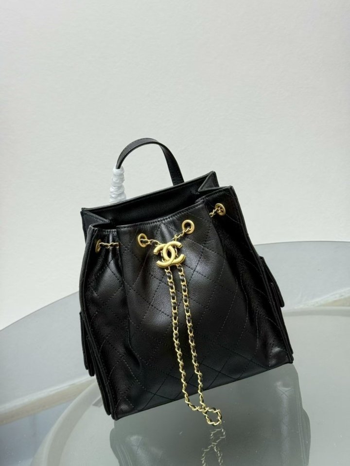 샤넬 25 백팩 (가방)