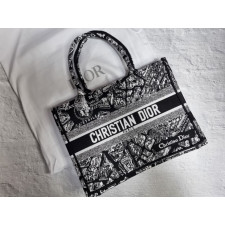 디올 파리 북토트백 (가방)