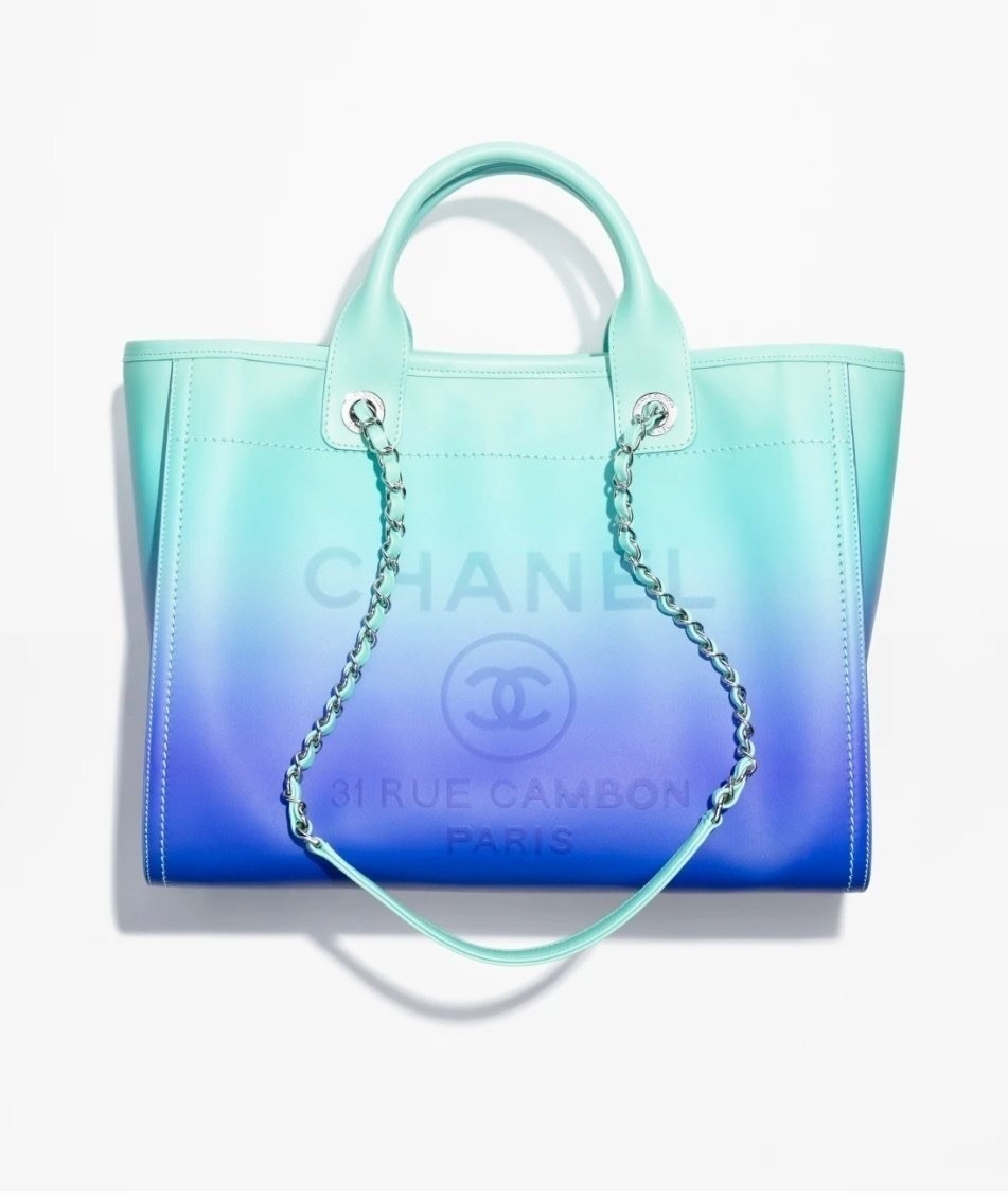 샤넬 도빌백 (가방)