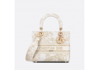 디올 자뎅 레이디백 (가방)