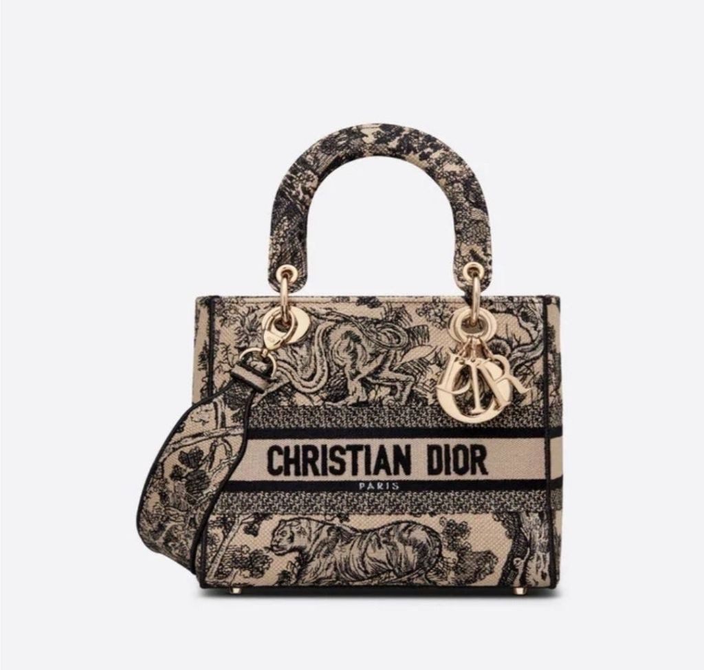 디올 딜라이트 레이디백 (가방)