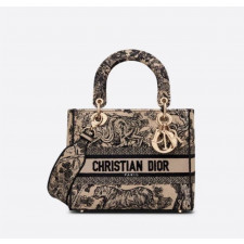 디올 딜라이트 레이디백 (가방)