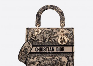 디올 딜라이트 레이디백 (가방)