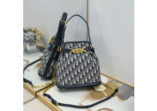 디올 씨에스트 미디엄 버킷백 (가방)