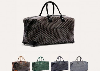 고야드 여행구 가방