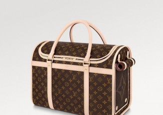 루이비통 도그 캐리어 (가방)