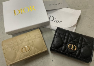 디올 카로 반지갑