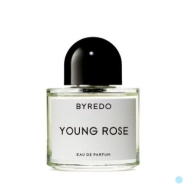 바이레도 영 로즈 100ML 향수