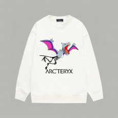 아크테릭스 드래곤 맨투맨