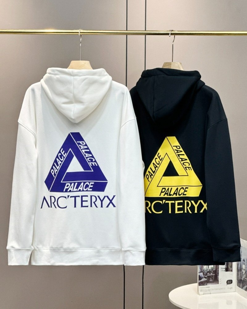 아크테릭스 X 팔라스 콜라보 후드티